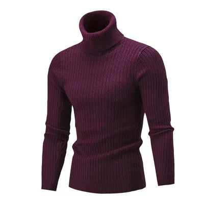 Men's High Neck Pullover Sweater HARTTMAN HT177 in Wine